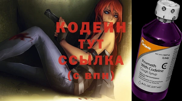 хмурый Алзамай