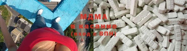 шишки Аркадак