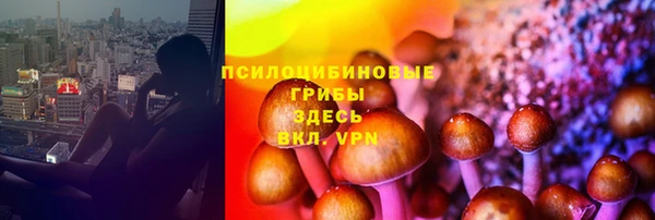 шишки Аркадак