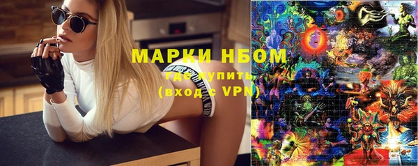 шишки Аркадак