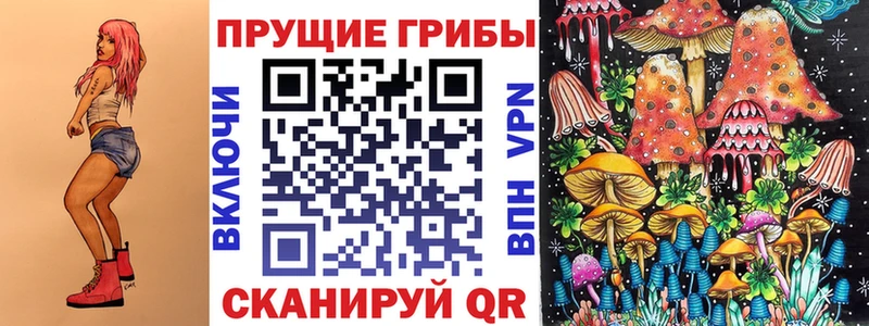 Галлюциногенные грибы ЛСД  магазин    OMG маркетплейс  Светлоград 